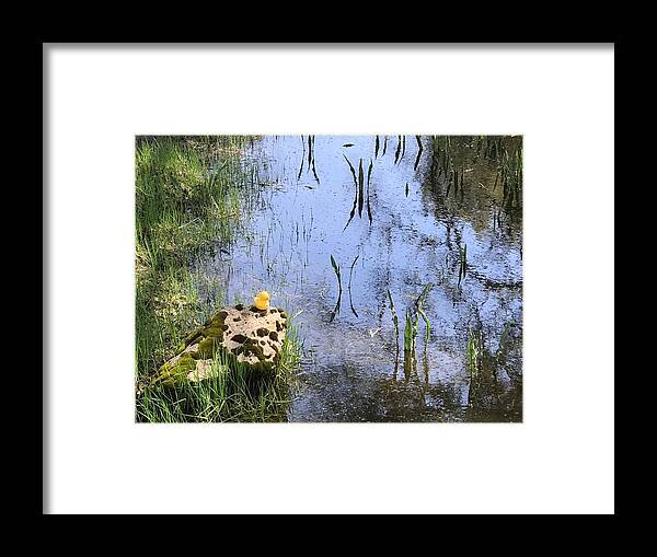Rubber Duck Framed Print featuring the photograph Little Ducky by Vivian Aumond