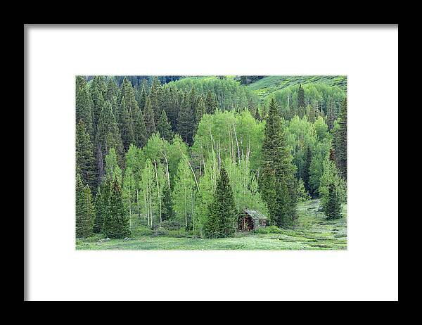 Green Framed Print featuring the photograph Little Hideaway by Denise Bush