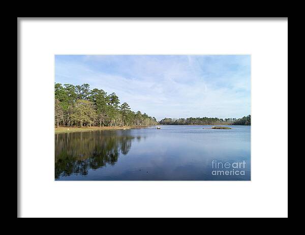 Landscape Framed Print featuring the photograph Little Pee Dee State Park South Carolina Early Spring by MM Anderson