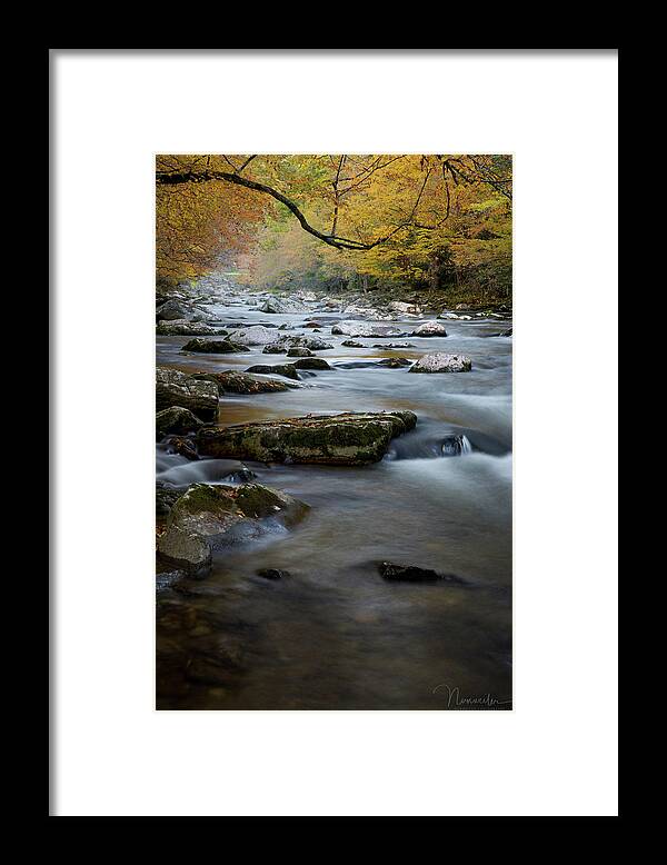 Art Prints Framed Print featuring the photograph Little River 2 by Nunweiler Photography