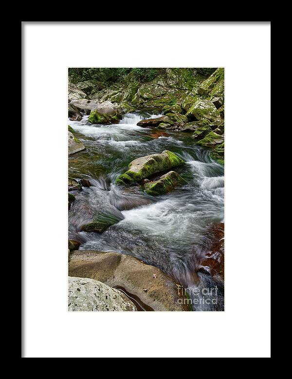 Smokies Framed Print featuring the photograph Little River 3 by Phil Perkins
