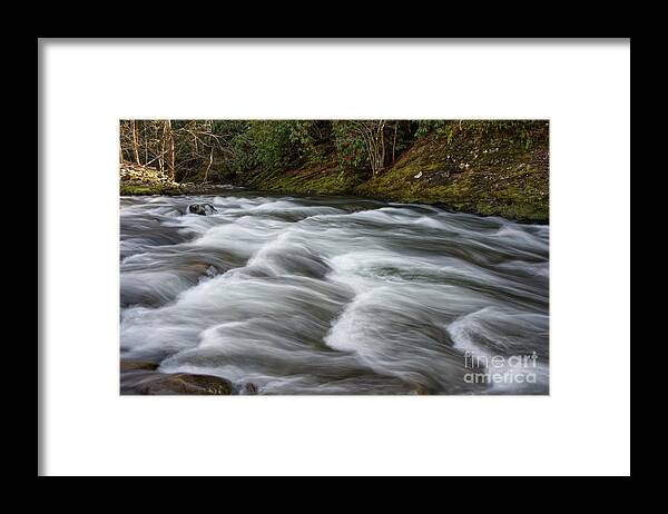 Smokies Framed Print featuring the photograph Little River Rapids 21 by Phil Perkins