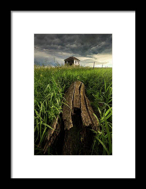 Prairie Framed Print featuring the photograph Live And Let Die by Aaron J Groen