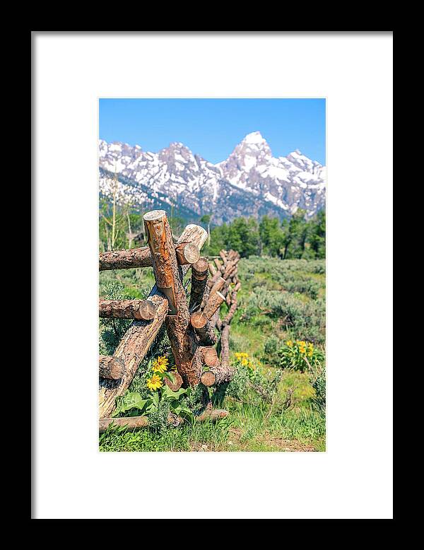 Log Fence Flowers In The Tetons Framed Print featuring the photograph Log Fence Flowers In The Tetons by Dan Sproul