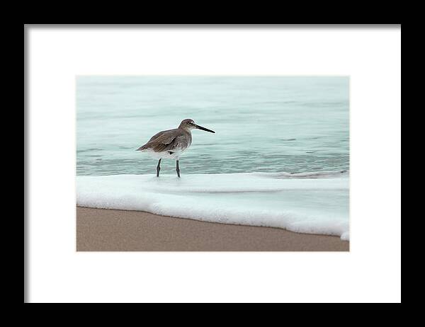 Beach Framed Print featuring the photograph Lone Wave Dancing Sandpiper by Blair Damson