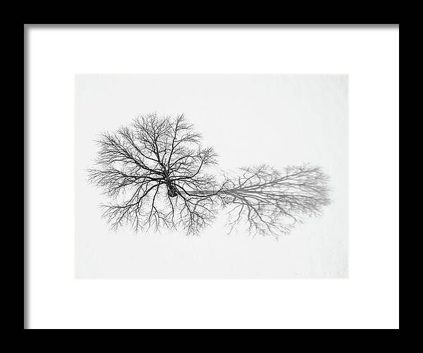 Dji Framed Print featuring the photograph Lone Shadow Tree by David Letts