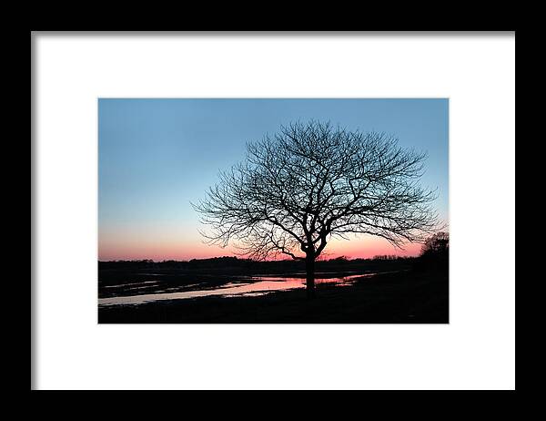 Nature Framed Print featuring the photograph Lone Tree at Sunset by Betty Denise