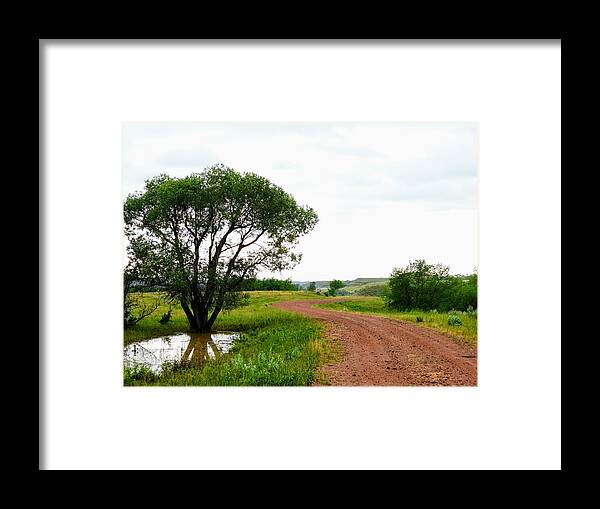 Lone Tree Framed Print featuring the photograph Lone Tree by the Road by Amanda R Wright