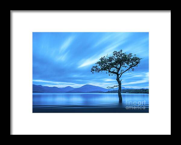 Milarrochy Bay Framed Print featuring the photograph Lone tree Milarrochy Bay by Janet Burdon