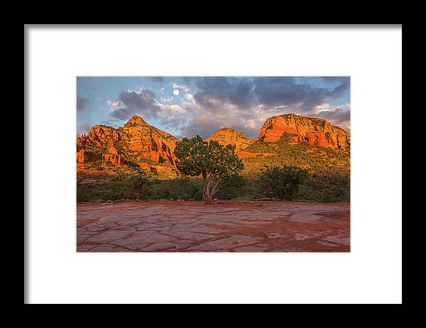 Lone Framed Print featuring the photograph Lone Tree Sunset Moon by White Mountain Images