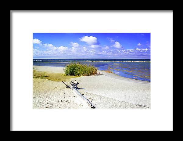 Color Framed Print featuring the photograph Lonely Beach by Alan Hausenflock