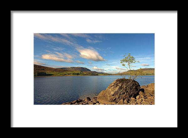 Landscape Framed Print featuring the digital art Lonely tree on a rock by Remigiusz MARCZAK