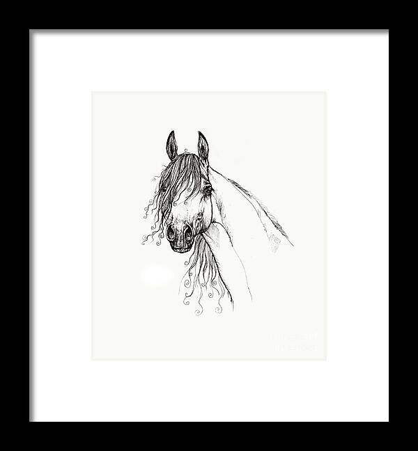Horse Framed Print featuring the drawing Arabian horse head 2011 02 14 by Ang El