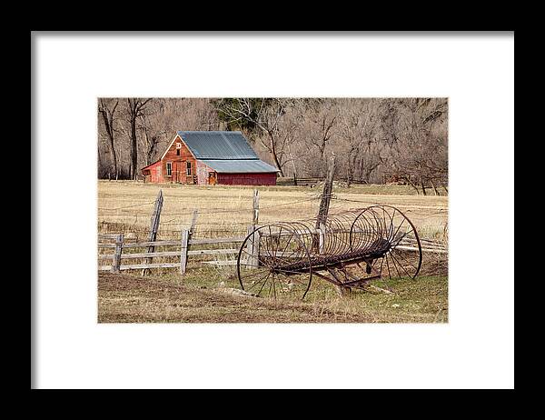 Barn Framed Print featuring the photograph Longtime Residents by Denise Bush