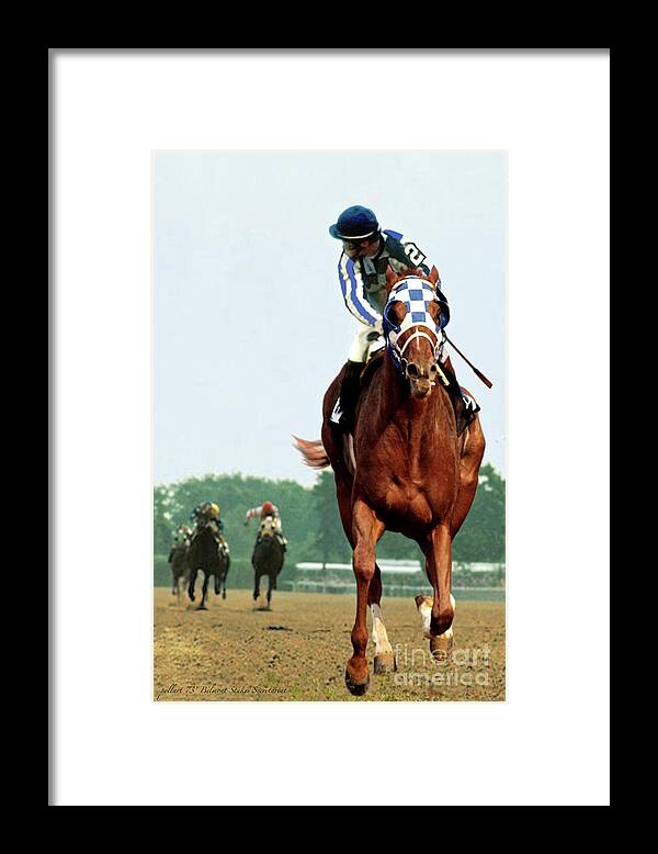 1 1/2 Mile Framed Print featuring the painting Looking Back, 1 1/2 mile Belmont Stakes Secretariat 06/09/73 time 2 24 - painting by Thomas Pollart