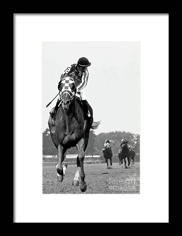 Looking Back Framed Print featuring the painting Looking back, 1973, Secretariat, stretch run, Belmont Stakes by Thomas Pollart