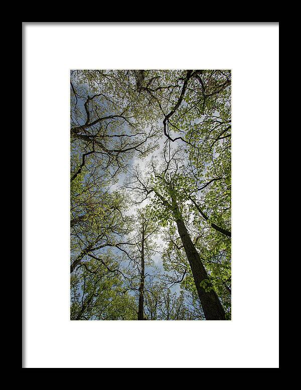 Fine Art Framed Print featuring the photograph Looking beyond by Kim Sowa
