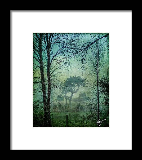 Tree Framed Print featuring the photograph Looking Through by Roseanne Jones