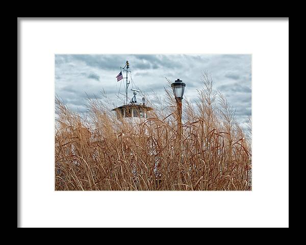 Grasses Framed Print featuring the photograph Looking Through the Grasses by Cate Franklyn