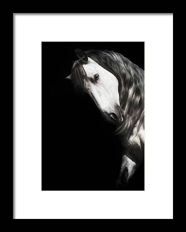 Horse Framed Print featuring the photograph Lord of the Dance - Horse Art by Lisa Saint