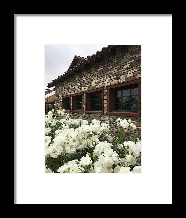 Lorimar Winery Framed Print featuring the photograph Lorimar Roses by Roxy Rich