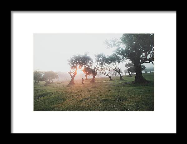 Fanal Framed Print featuring the photograph Lost in the Fanal Forest by Vaclav Sonnek