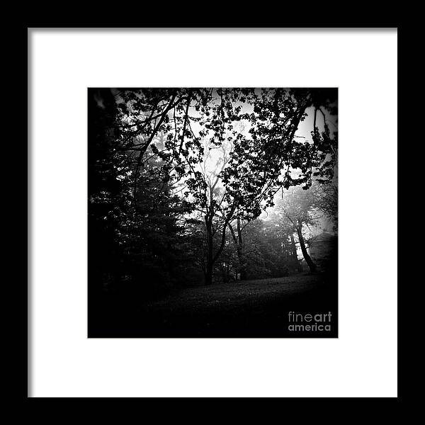Nature Framed Print featuring the photograph Lost in the Fog by Frank J Casella