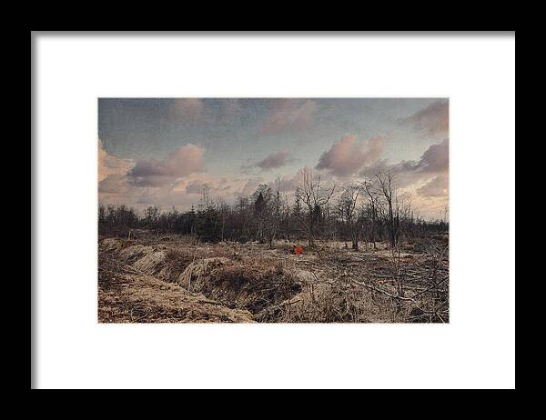 Land Framed Print featuring the photograph Lost in the forest by Yasmina Baggili
