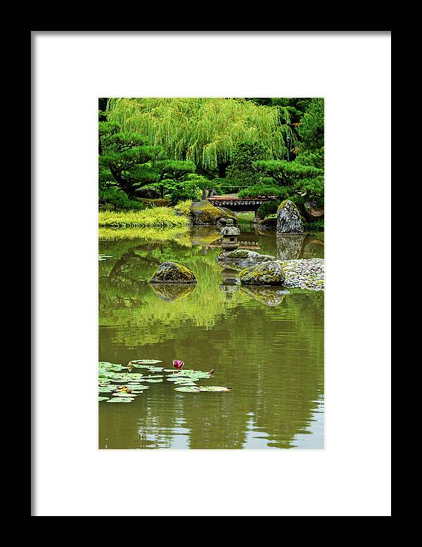 Outdoor; Summer; Japanese Garden; Seattle; City; Park; Water Lilies; Lotus; Pond; Framed Print featuring the digital art Lotus in Japanese Garden by Michael Lee