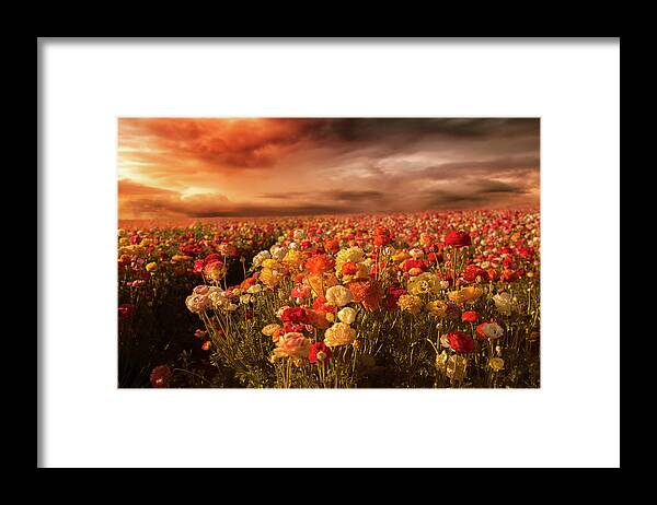 Carlsbad Framed Print featuring the photograph Love Can Change the World by Laurie Search