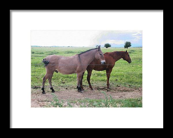 Love Framed Print featuring the digital art Love Horses Arizona by Tom Janca