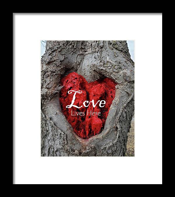 Love Framed Print featuring the photograph LOVE LIVES HERE Red Heart In a Tree by Lynnie Lang