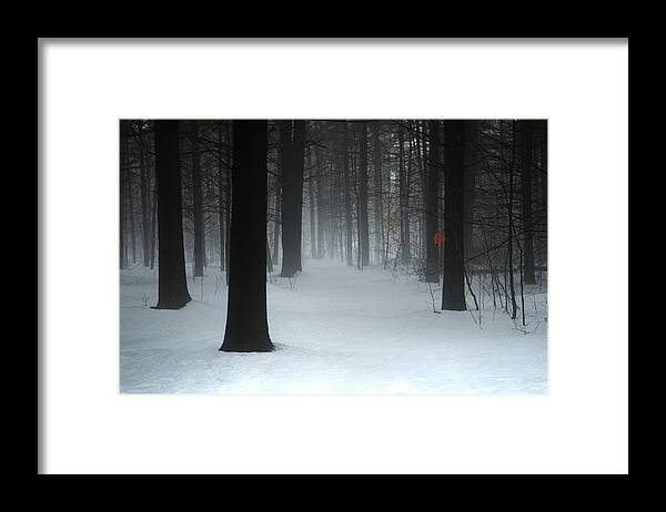 Woods Framed Print featuring the pyrography Lovely, Dark and Deep by Moira Law