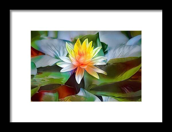 Lily Framed Print featuring the photograph Lovely Lily Art by Debra Kewley