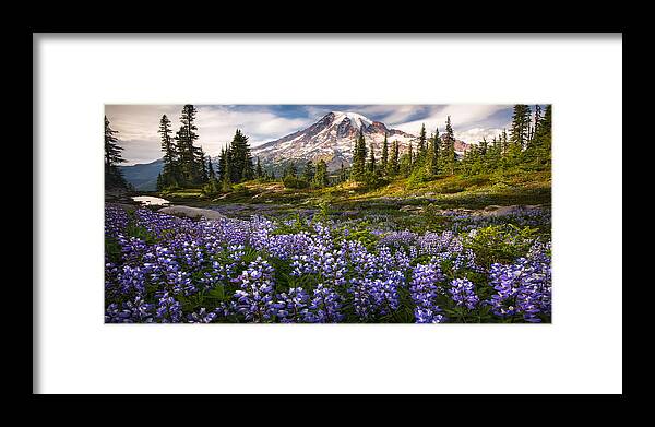 Mt Rainier Framed Print featuring the photograph LOVESPELL 1-2 Ratio by Ryan Smith