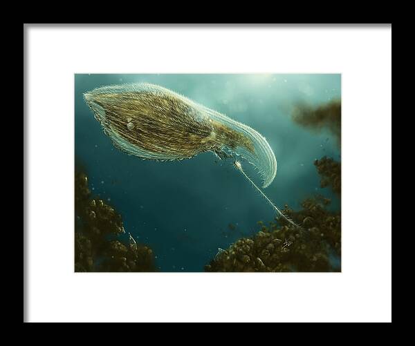 Protozoa Framed Print featuring the digital art Loxophyllum attacked by Lacrymaria by Kate Solbakk