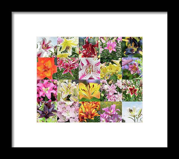 Lily Framed Print featuring the photograph Luscious Lilies by Tim Gainey