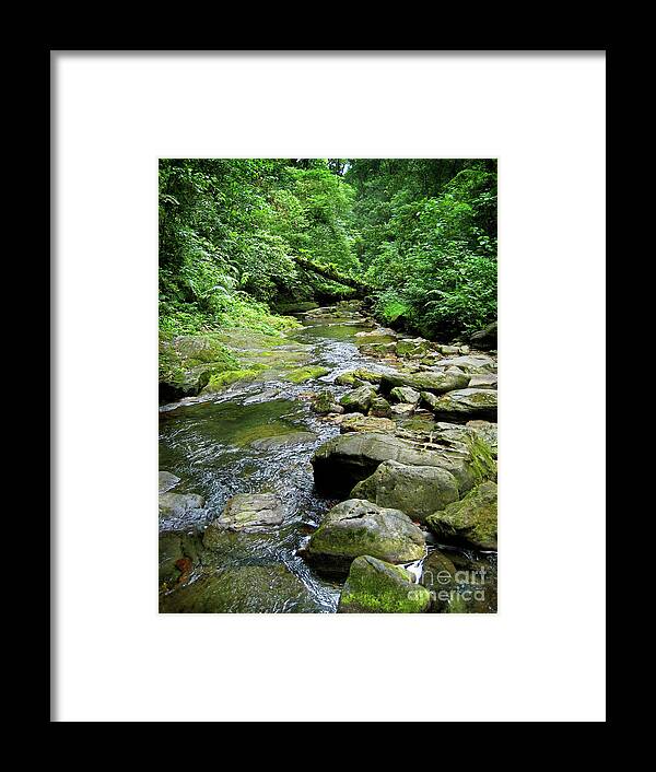 River Framed Print featuring the photograph Lush Trinidad by Becqi Sherman