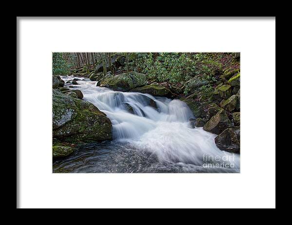 Middle Prong Trail Framed Print featuring the photograph Lynn Camp Prong 2 by Phil Perkins