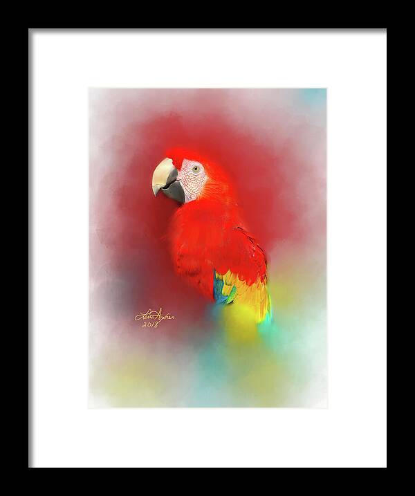 Macaw Framed Print featuring the digital art Macaw by Lena Auxier