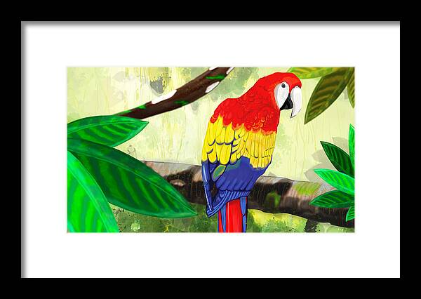 Digital Framed Print featuring the digital art Macaw by Rose Lewis