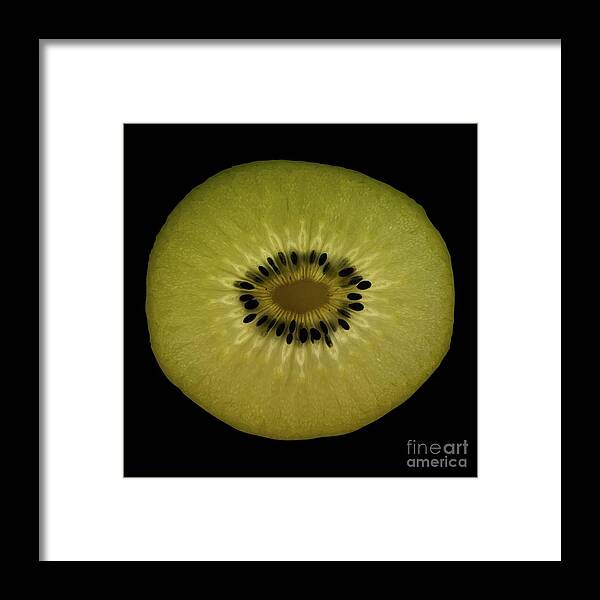 Macro Photo Framed Print featuring the photograph Macro Kitchen Photo 4 by Donna Mibus