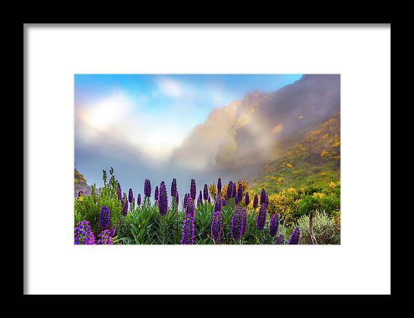 Atlantic Ocean Framed Print featuring the photograph Madeira by Evgeni Dinev