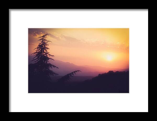Tree Framed Print featuring the photograph Magic Tree SUNSET by Auranatura Art