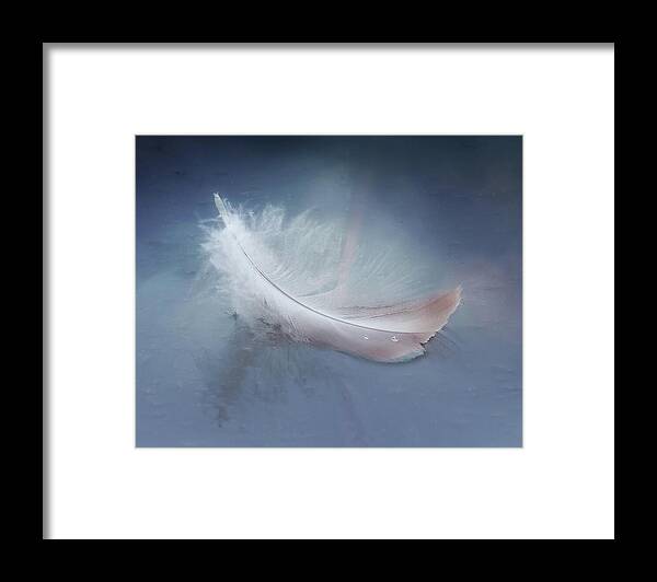 Feather Framed Print featuring the photograph Magical Feather by Jerry Cowart