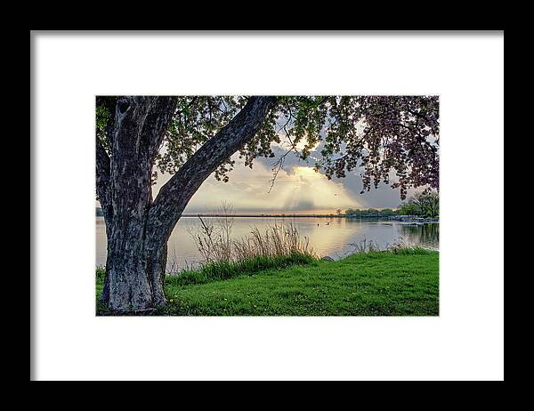 Monona Framed Print featuring the photograph Magnificent Monona Bay Morning - flowering cherry tree at sunrise over bay by Peter Herman