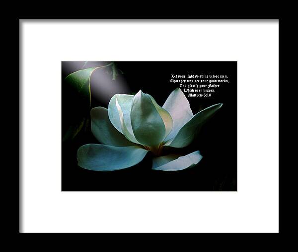 Flower Framed Print featuring the photograph Magnolia Closeup Spotlight Matthew 5 vs 16 by Mike McBrayer