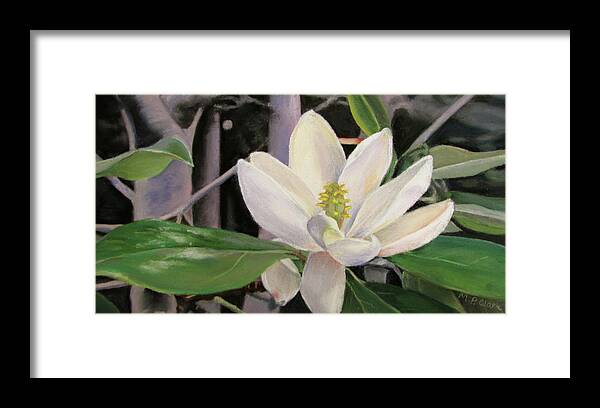 Magnolia Framed Print featuring the pastel Magnolia by MaryJo Clark