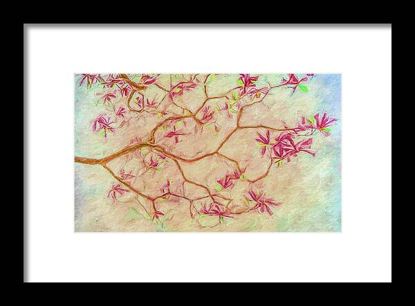 Magnolia Framed Print featuring the photograph Magnolia Tree Blooms by Kevin Lane