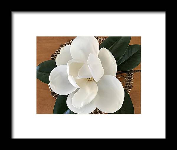 Magnolia Flower Framed Print featuring the photograph Magnolia Tree Flower by Catherine Wilson